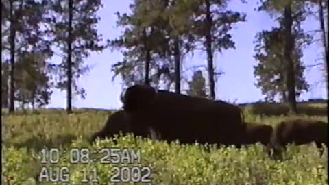 2002.08.10 Black Hills Vacation