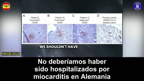 【ES】Dr. McCullough: Muchos estudios muestran que vacunas COVID-19 son perjudiciales al corazón