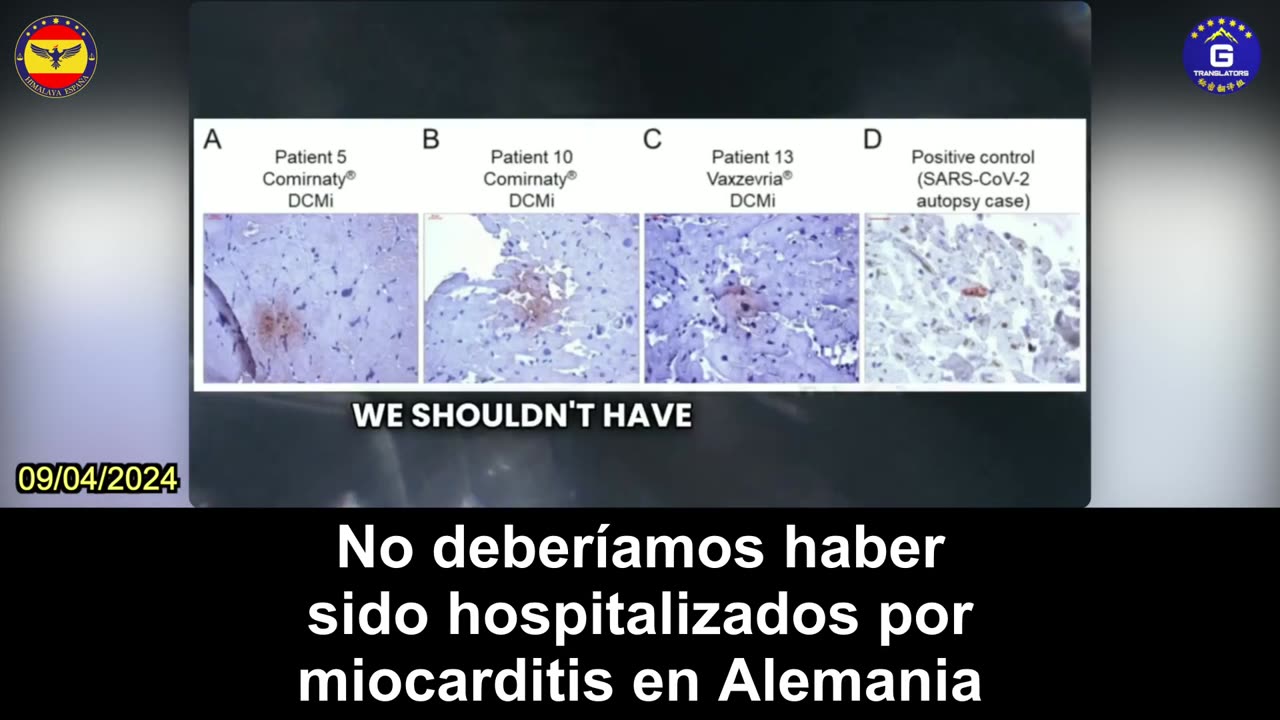 【ES】Dr. McCullough: Muchos estudios muestran que vacunas COVID-19 son perjudiciales al corazón