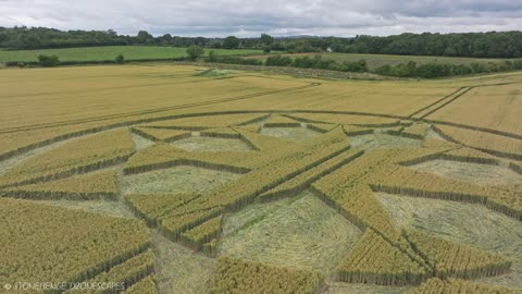 Crop Circle Roman Road près de Marten Wiltshire Signalé le 23 juillet 24