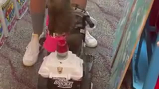 ANTIQUE Toy store PART 1