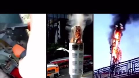 Even the ants know what’s up