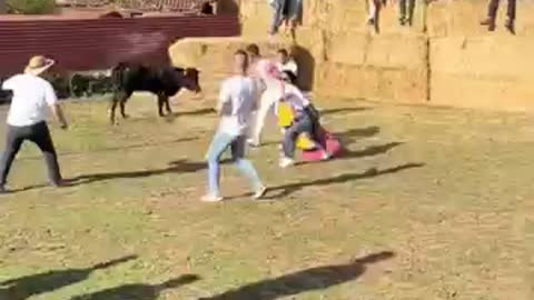 Bulls fighting funny video most exciting highlighted video