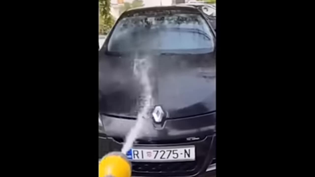 Washing a Car Together With a Dog.