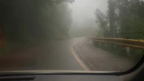 Nature and Driving