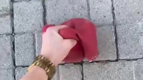 Red Squishy Monkey Huge Balcony Drop