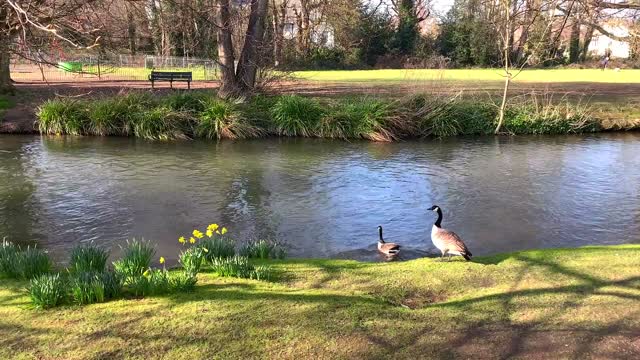 Beautiful neature