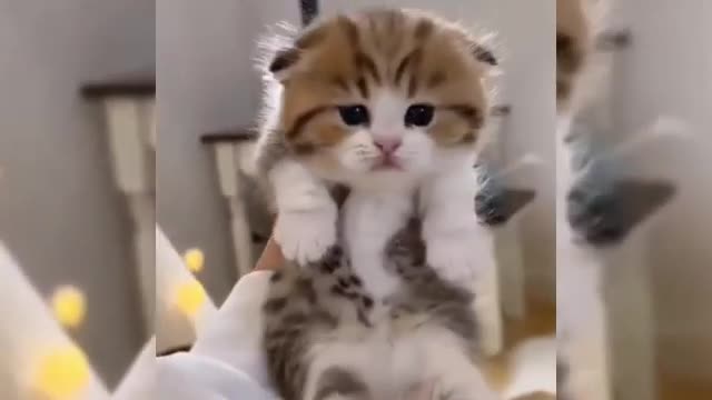 I heard only cute people can do it