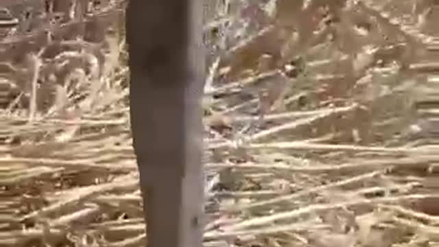 V ruském regionu Rostov ukrajinští diverzanti umístili zápalná zařížení