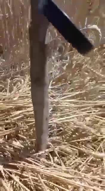 V ruském regionu Rostov ukrajinští diverzanti umístili zápalná zařížení