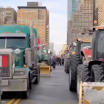 NOW - Trucks and farm tractors begin to arrive in Toronto