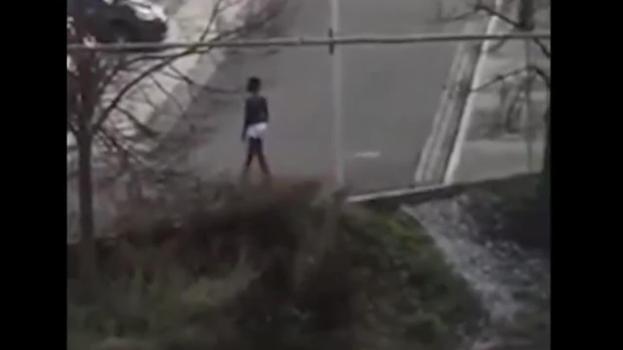 In Germany, an African migrant beat up an old woman after she asked if he was