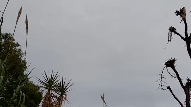 Giornata grigia a Riola Sardo 20/11/2021