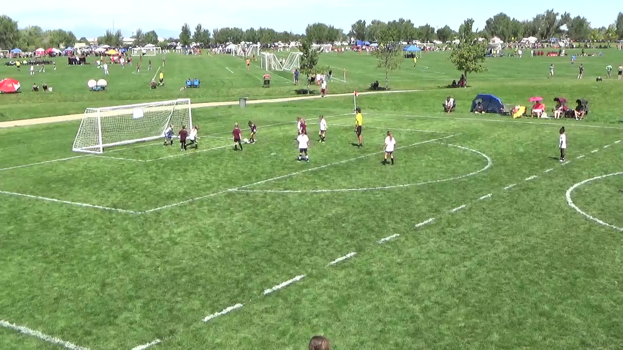 8-17 Vs Albion, Goal number 4 (7-1 W)