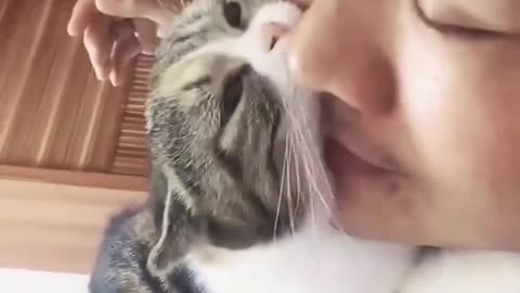 cat hugging her hooman