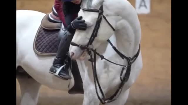 Women shares special bond with better trained horse