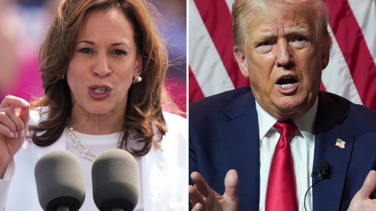 The Soyposium Podcast - Beast of the Week - Election 2024