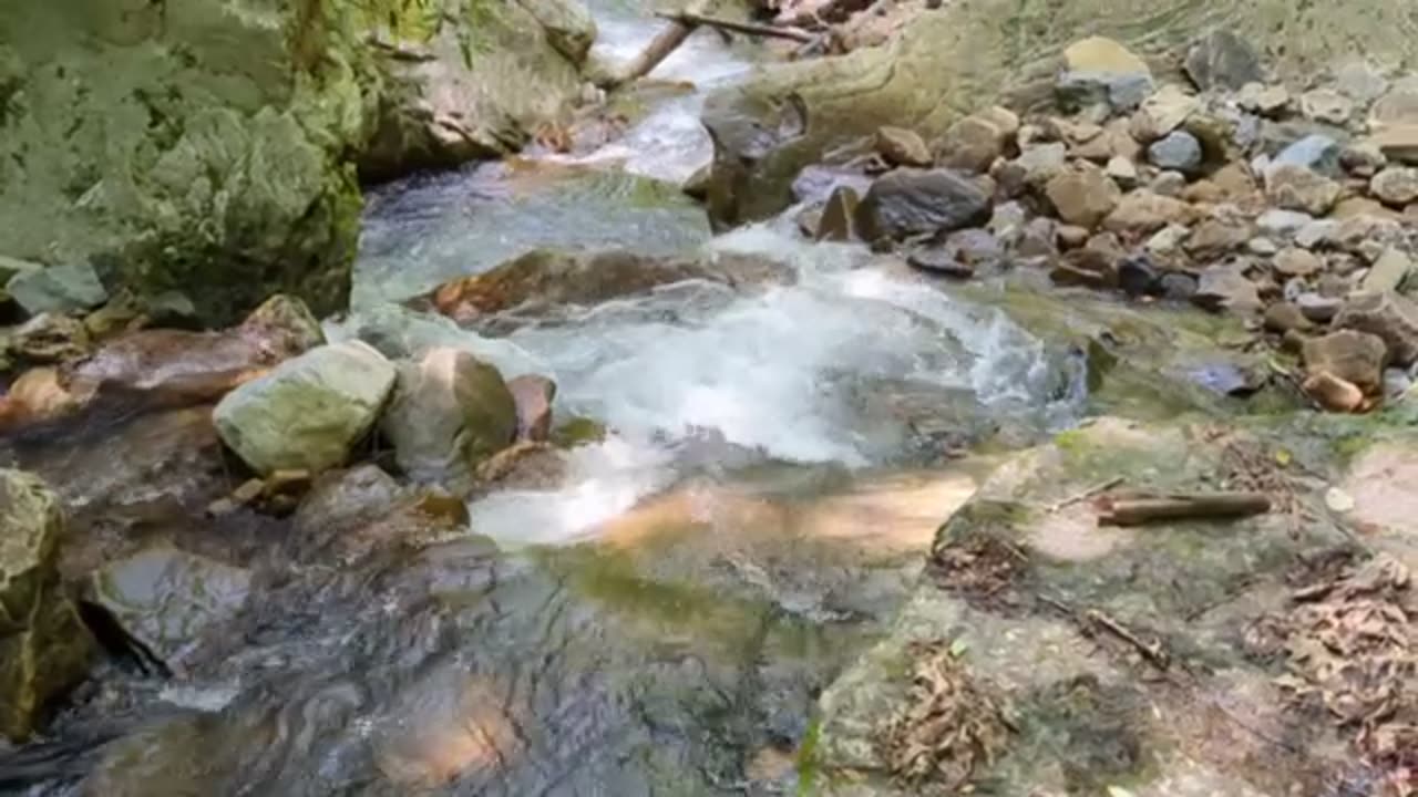 Creek