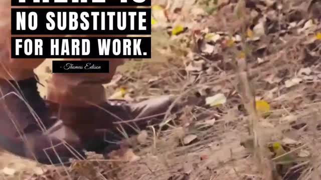 There is No Substitute for Hard Work