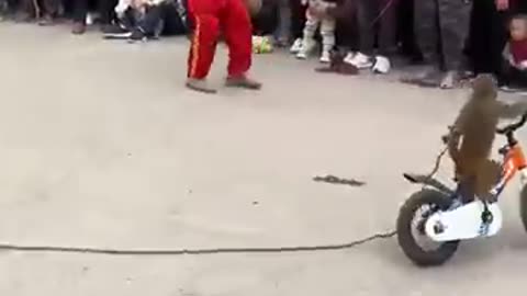 Monkey Riding a bicycle