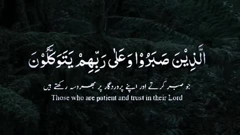 This Islamic contact and