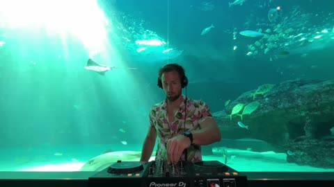 Underwater Melodic House _ RÜFÜS DU SOL, Ben Böhmer, Lane 8, Nora En Pure, Yotto, Marsh, Cassian