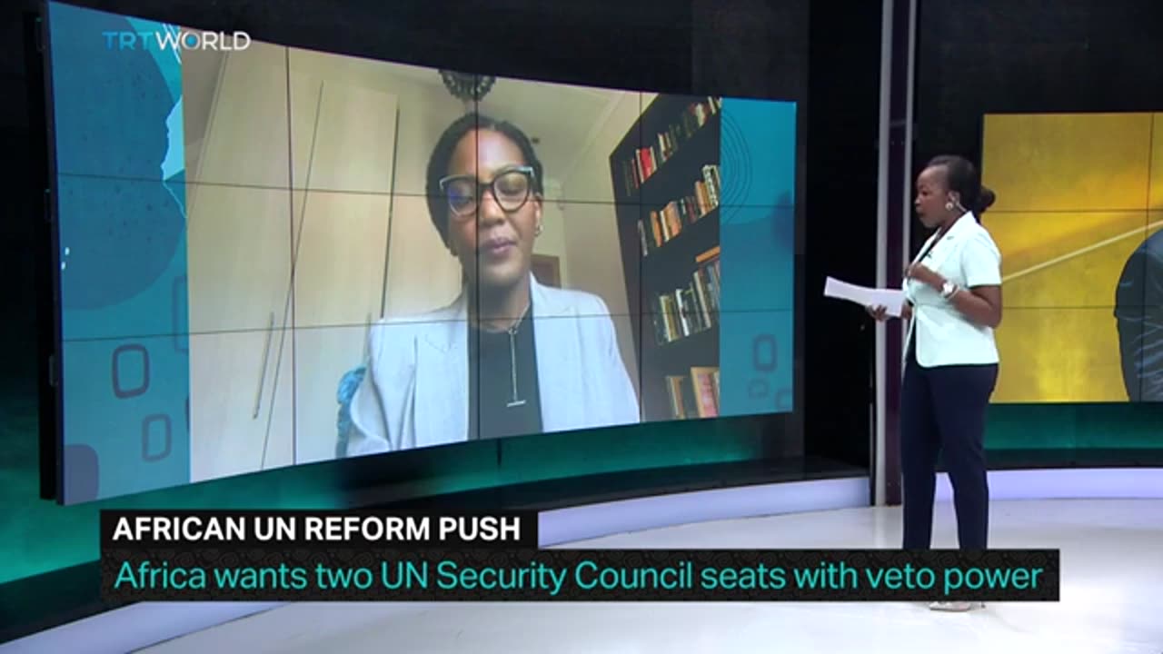 Africa Matters_ African UN Reform Push