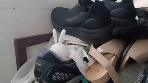 The Cutest Way to Deodorize Sneakers