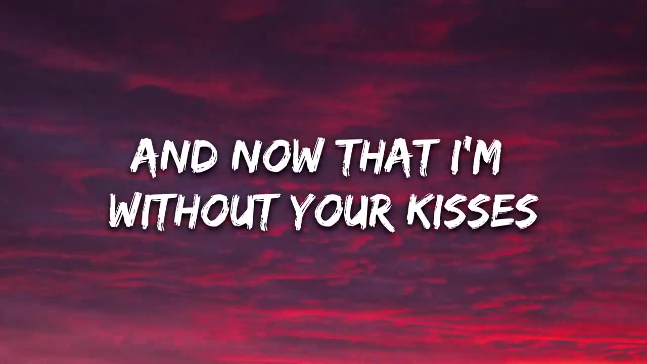 Shawn Mendes - Stitches (Lyrics)