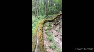 The Stone Gutter (Bavaria)