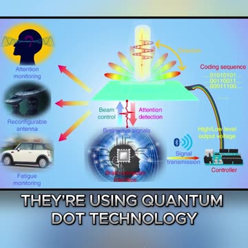 What Are These Strange Things Found Inside People's Bodies?