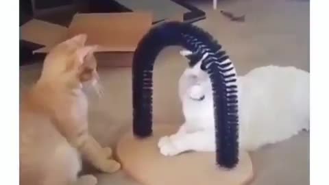 Very funny cat clip | 🐈 😺 cat scared to earphone | wire and cat funny moments