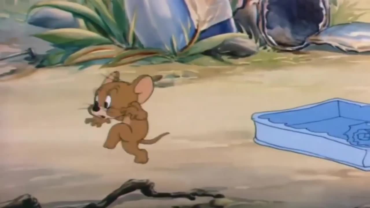 Tom and Jerry- Funny Compilation _ Funny Video