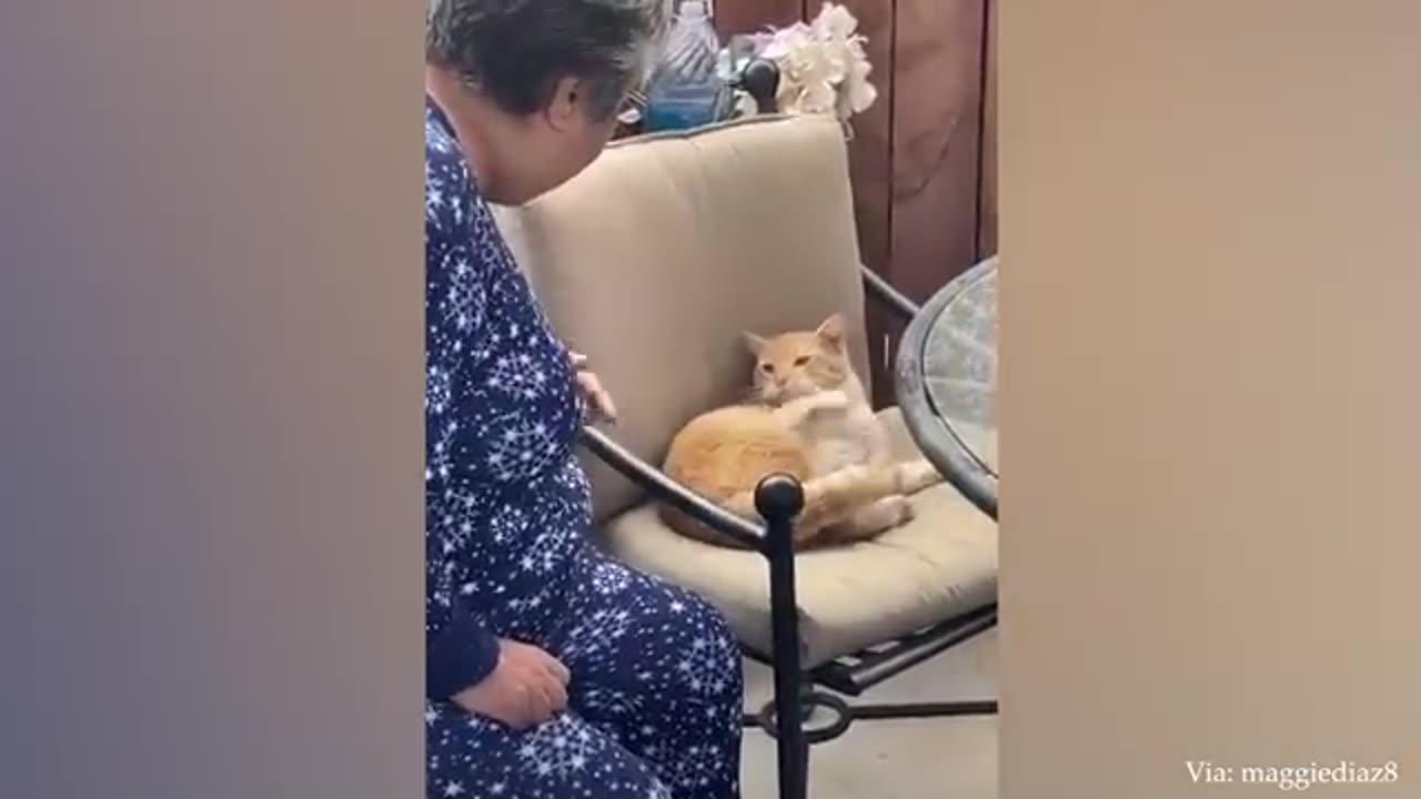Laugh Laugh Laugh