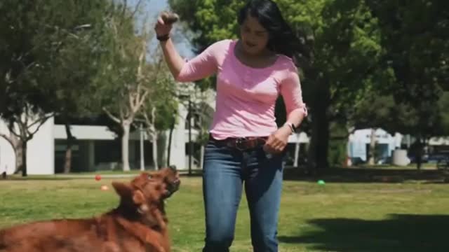 Young lady having fun with pink dog