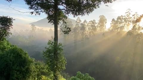 Footage Morning vibes with rays