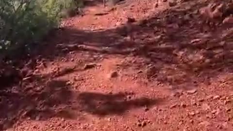 Hiking Sedona, 2021