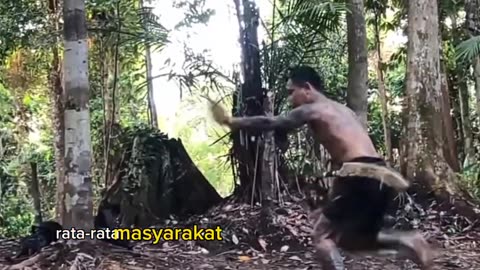 Dayak ethnis