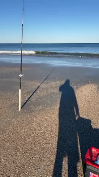 Fish catching with Diet Pepsi shrimp