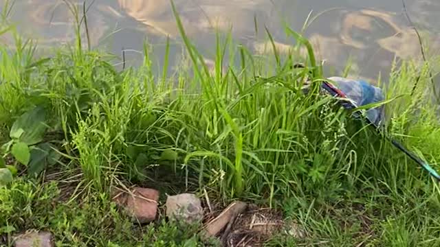 Do not litter