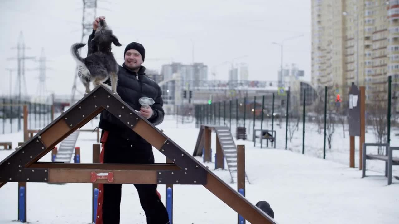 Male owner playing with funny dog on training ground in winter day