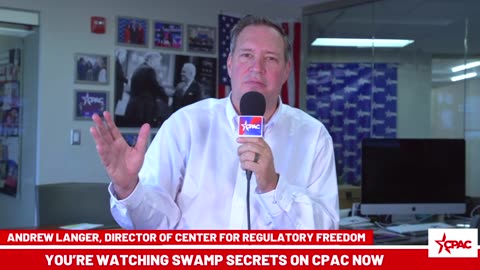 Swamp Secrets with Andrew Langer