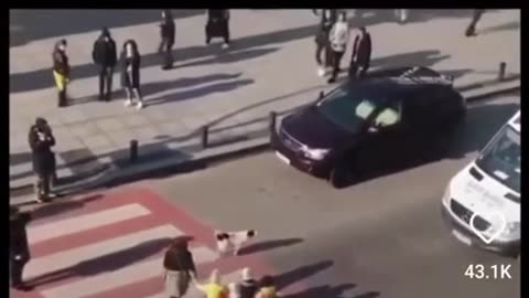 IN GEORGIA A STRAY DOG 🐶 HAS MADE IT HIS JOB TO PROTECT PEOPLE SO THEY CAN CROSS THE STREET SAFELY