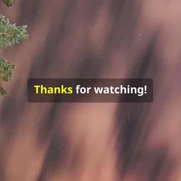 The Mystery of Einstein's Missing Brain #facts