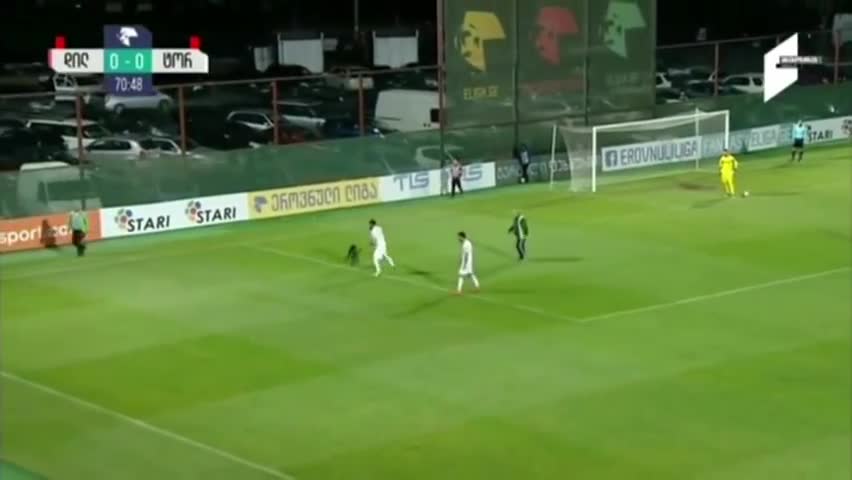 Dog interrupts soccer game want belly rubs