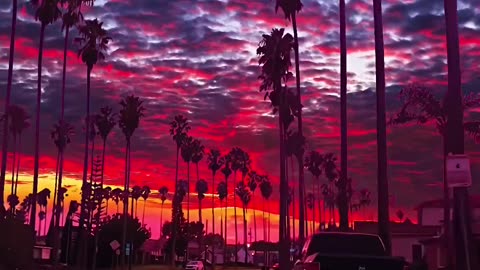 Beautiful View ❤️