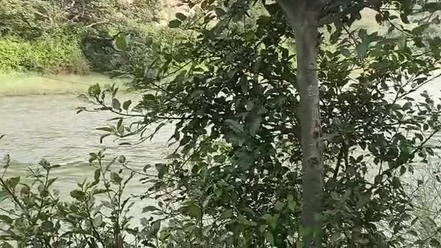 Uttarakhand view