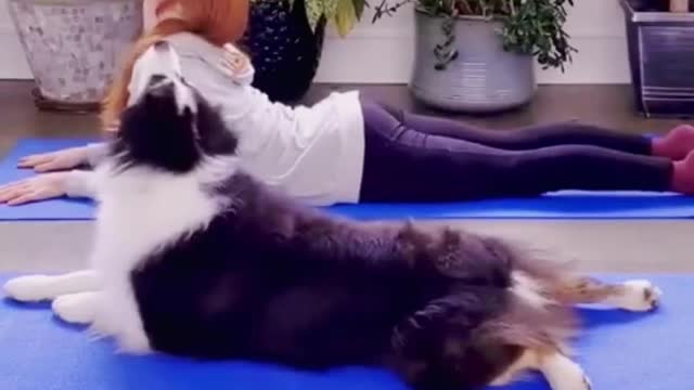 YOGA WITH DOG