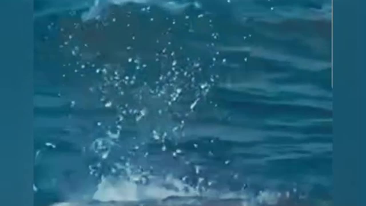 UNBELIEVABLE VIDEOS