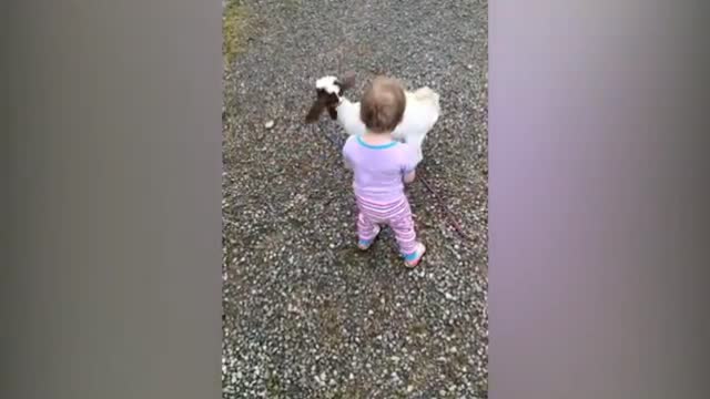 Goats can punish rudeness